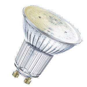 Spot dimmable shop
