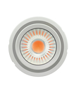 PL-CN111-COB- 2800-840-24D-G2