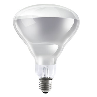 Osram shop infrared lamp