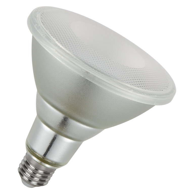 LED PAR38 P