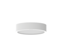 SURFACE MOUNT DOWNLIGHT 215 24W TRI