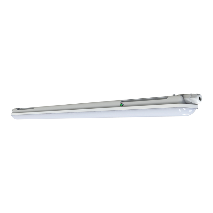 DAMP PROOF TH 1200 E 33W 840 IP65 EL GRAY