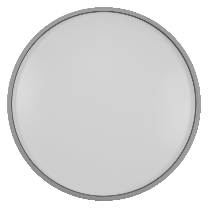SMART+ MATTER Ceiling Gisela 300 mm 16W Silver Multicolour white, upright, alternat