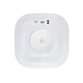 SAFEWAY EMERGENCY SURFACE MOUNT DOWNLIGHT