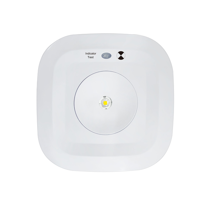 SAFEWAY EMERGENCY SURFACE MOUNT DOWNLIGHT  EMSMDL2.2DW
