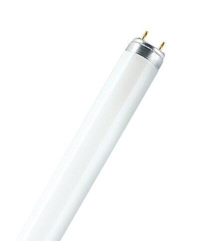 Lumilux t8 top