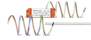 EC Wave 2