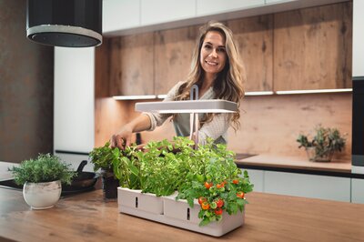 Indoor Garden KIT 450 WT
