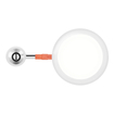 RT SELECT  1A 4" 5CCT 650LM BA  Beauty Shot (thumbnail)