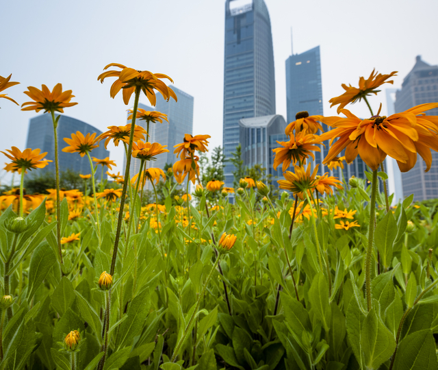 PEP ECOPASPOORT – meer inzicht in de  duurzaamheid van LEDVANCE-armaturen