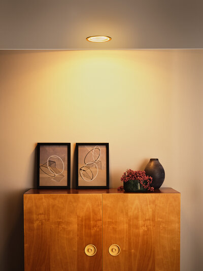 Decorative downlights top