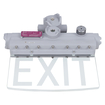 HAZ EXIT SIGN C1D1 120-277V LITHIUM GR white, upright, alternat (thumbnail)