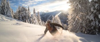 Powder skying