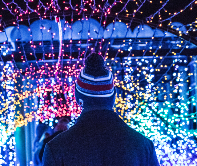 Trucos LEDVANCE para iluminar la Navidad y ahorrar en la factura de la luz