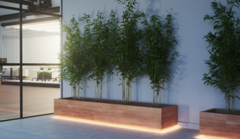 Ambient lighting