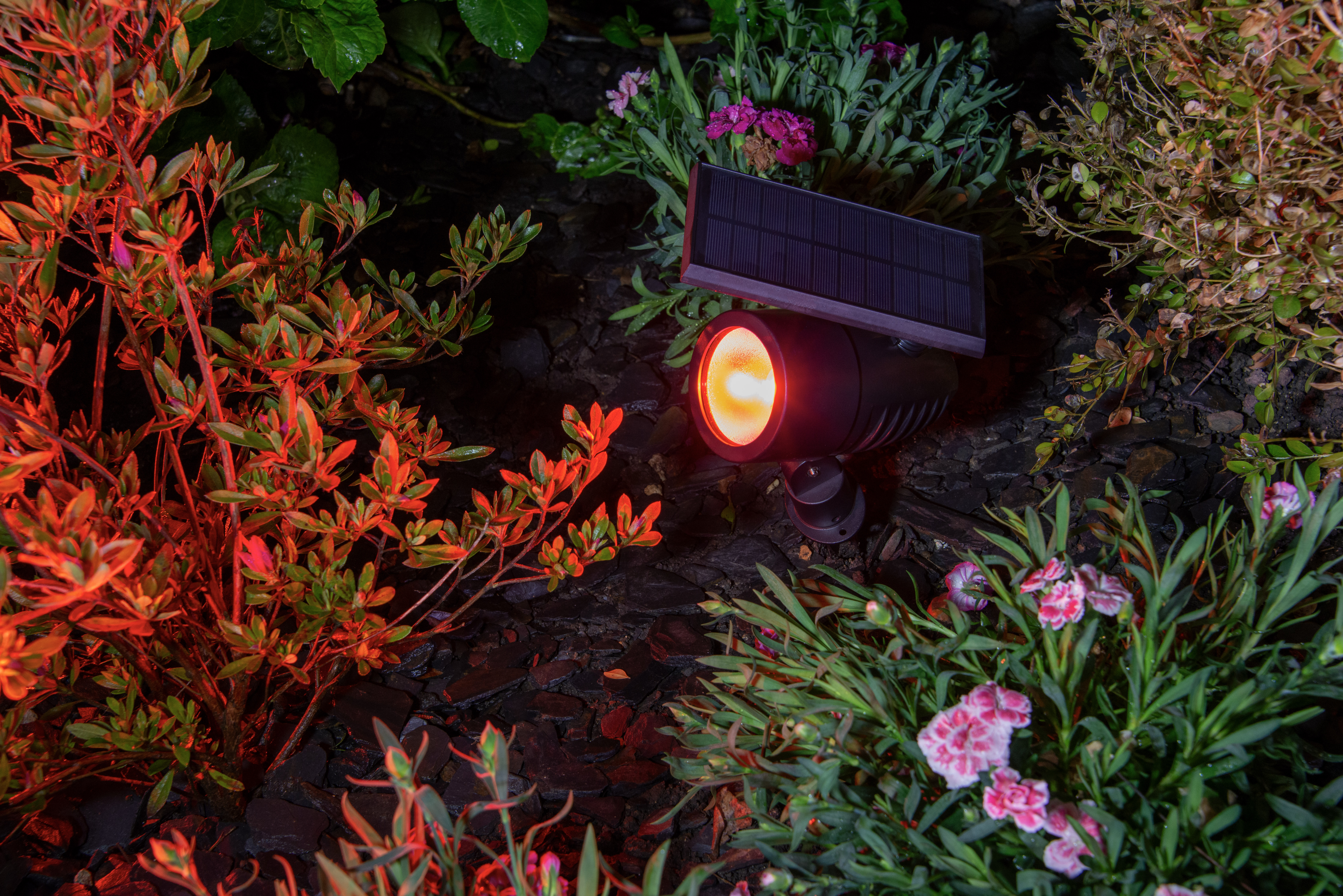 Smart Solar Spot Multicolor